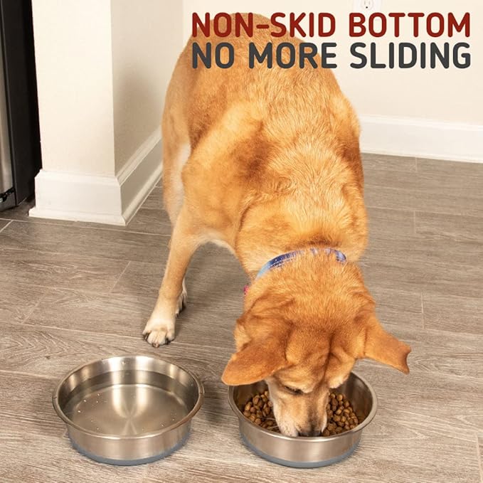 Durapet Bowl with Silicone Bonding for Dogs and Cats
