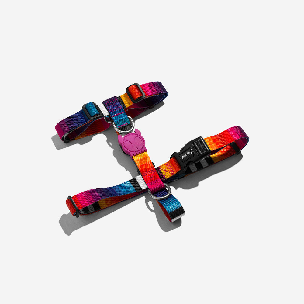 Zeedog Prisma H-Harness